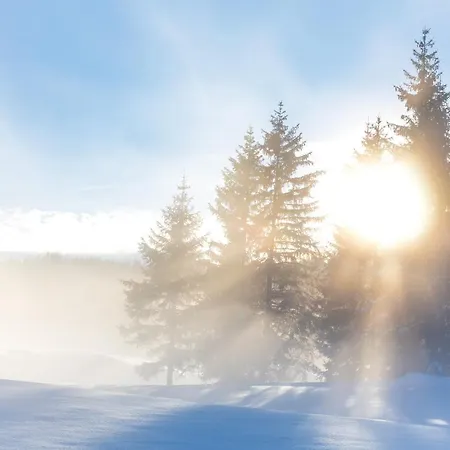 Flat Seefeld w Tirolu